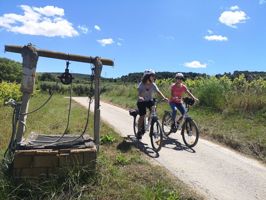 Barcelona: Bike & Wine Guided Tour - Penedès vineyards - Riding through Subirats and Penedès