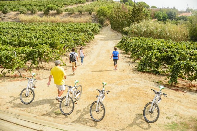 Barcelona eBike Beach Private Tour to Vineyards & Picnic - Private touring and the value of the price