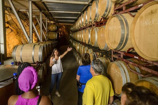 Barcelona eBike Beach Private Tour to Vineyards & Picnic - Who should book this ride