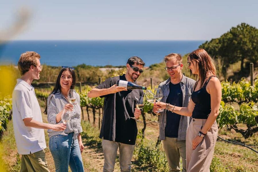 Barcelona: Sailing Cruise & Vineyard Tour with Wine Tasting - Alella, Catalonia’s small wine district