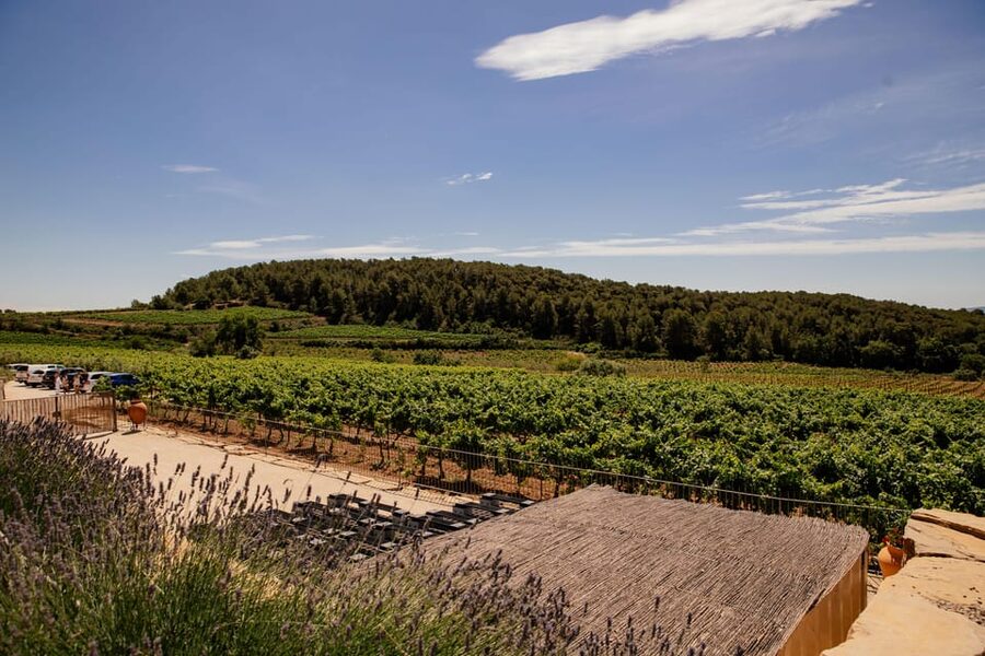 Barcelona: Vineyard Horseback Riding & Wine Tasting + Tapas - How the value adds up at $324