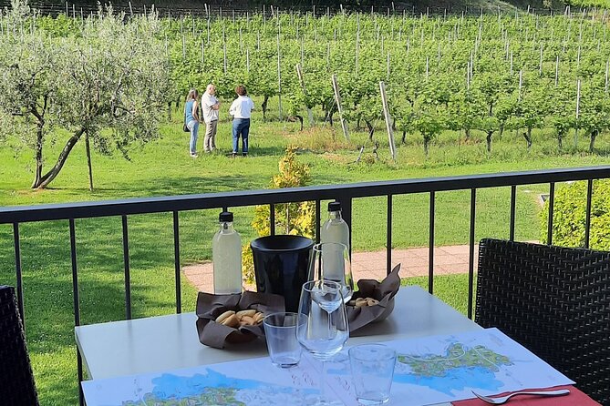 Bardolino: vineyard tour, wine, oil and food tasting - Key points to know before you book