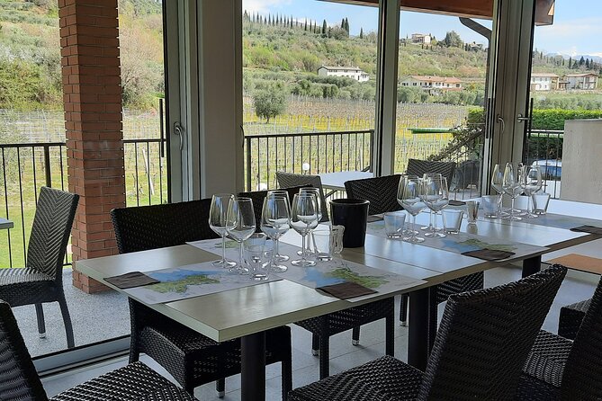 Bardolino: vineyard tour, wine, oil and food tasting - Understanding Bardolino through local grape varieties