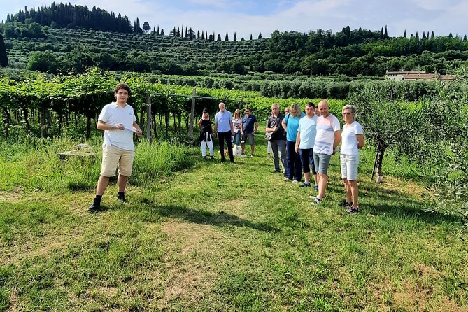 Bardolino: vineyard tour, wine, oil and food tasting - Is $43.35 a fair price?