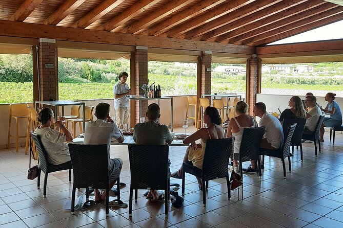 Bardolino: vineyard tour, wine, oil and food tasting - Tasting wine on the terrace