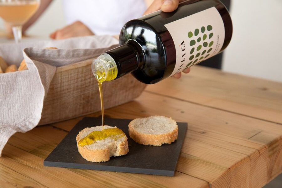 Bardolino: Vineyard Tour with Wine and Food Tasting - Should you book it?