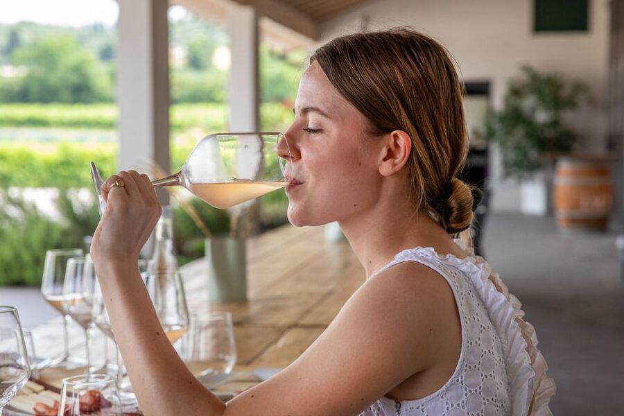 Bardolino: Vineyard Tour with Wine and Food Tasting - Is $53 per person good value?