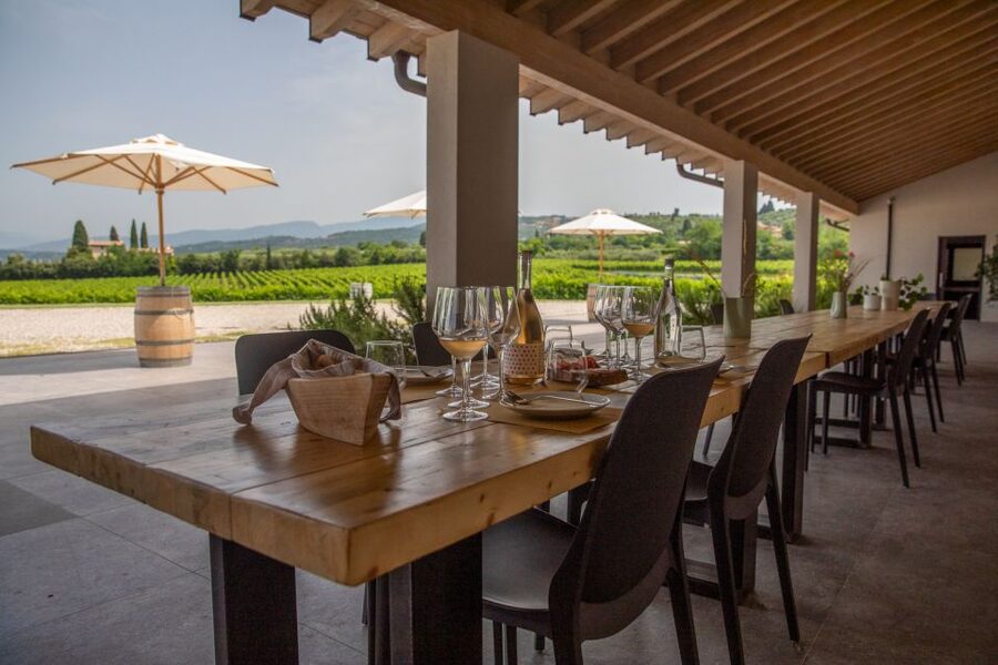 Bardolino: Vineyard Tour with Wine and Food Tasting - Booking details that matter