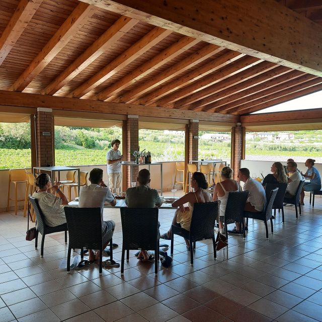 Bardolino: Vineyard Tour with Wine, Olive Oil & Food Tasting - From Grandfather’s Winery to Today’s Bottles