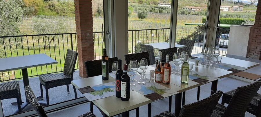 Bardolino: Vineyard Tour with Wine, Olive Oil & Food Tasting - Practical Details That Can Affect Your Day
