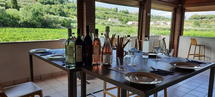 Bardolino: Vineyard Tour with Wine, Olive Oil & Food Tasting - The Terrace Tasting Above the Vines