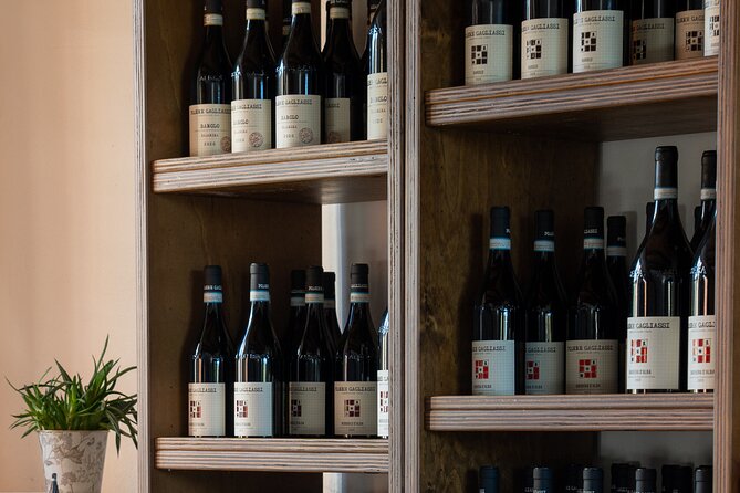 Barolo Tasting and Vineyard Tour and Winery Visit - Walking through Podere Gagliassis organic vineyards
