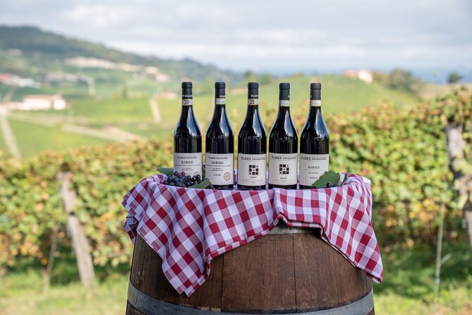 Barolo Tasting and Vineyard Tour and Winery Visit - Timing, meeting point, and practical details