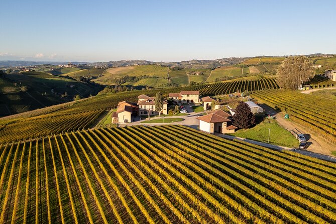 Barolo Tasting and Vineyard Tour and Winery Visit - Who will enjoy this Barolo visit most