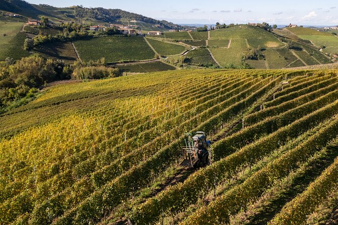 Barolo Tasting and Vineyard Tour and Winery Visit - Should you book Podere Gagliassi?