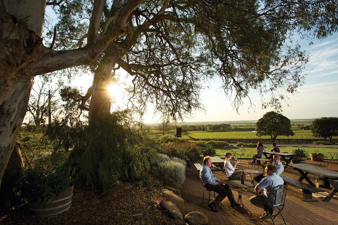 Barossa Valley Hop-On Hop-Off Wine Tour - Choosing your wine stops