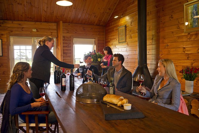 Barossa Valley Hop-On Hop-Off Wine Tour - Who should choose this experience