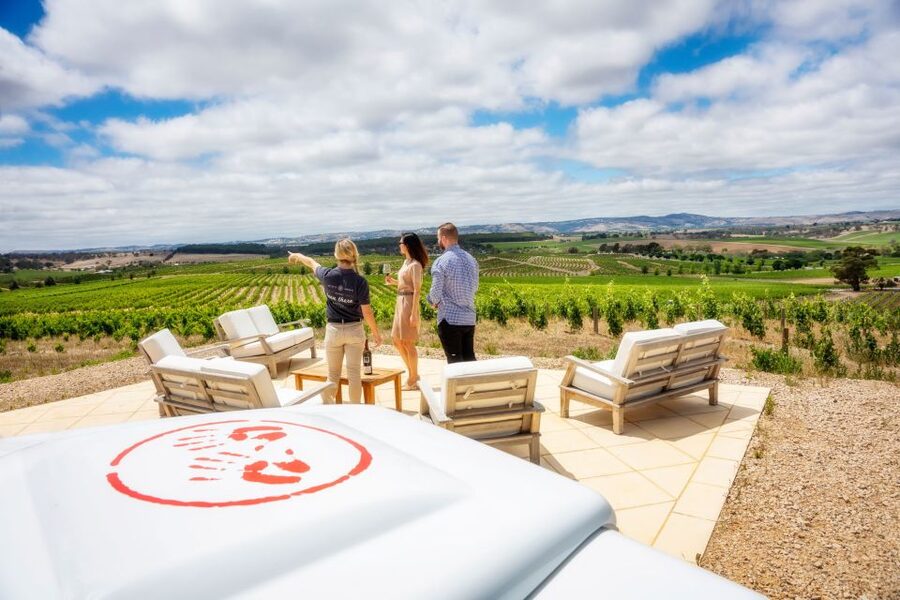 Barossa Valley: Two Hands 1.5-Hour Vineyard Tour - Tasting Holy Grail Shiraz where it is grown