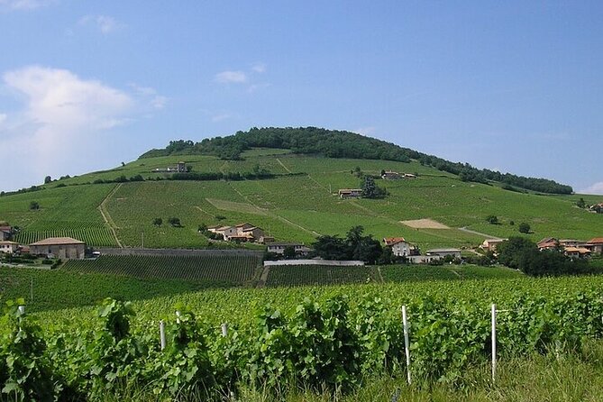 Beaujolais wine route, private tour from Lyon - Château de Pizay and the five-senses tasting