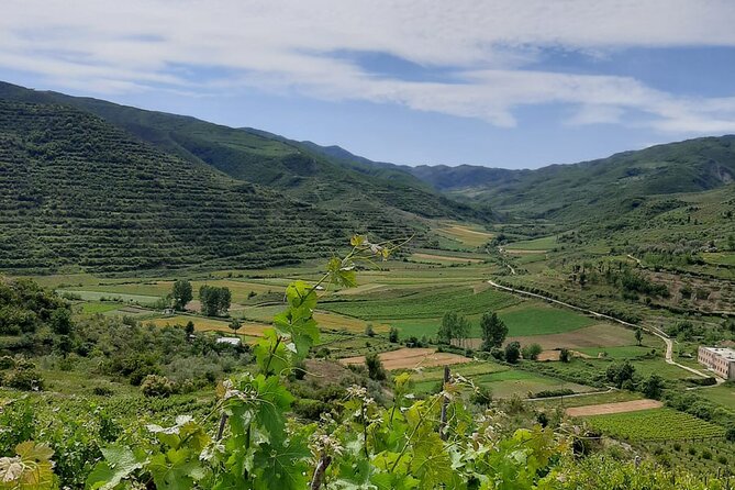 Berat 4x4 Off-Road and Vineyard Wine Tasting - Key points to know before booking