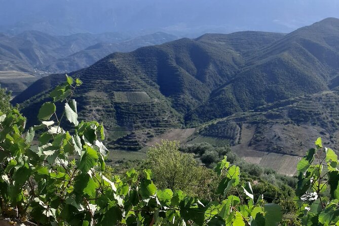 Berat 4x4 Off-Road and Vineyard Wine Tasting - Leaving Berat for Malinat’s vineyard country