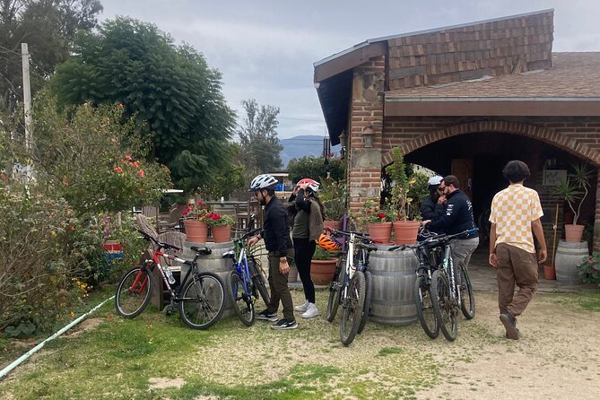 "Bike 2 wine", Exploring vineyards on a bike - What is included, and what you still pay for