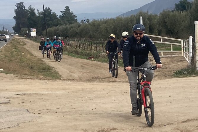 "Bike 2 wine", Exploring vineyards on a bike - Who will enjoy this Ensenada bike tour