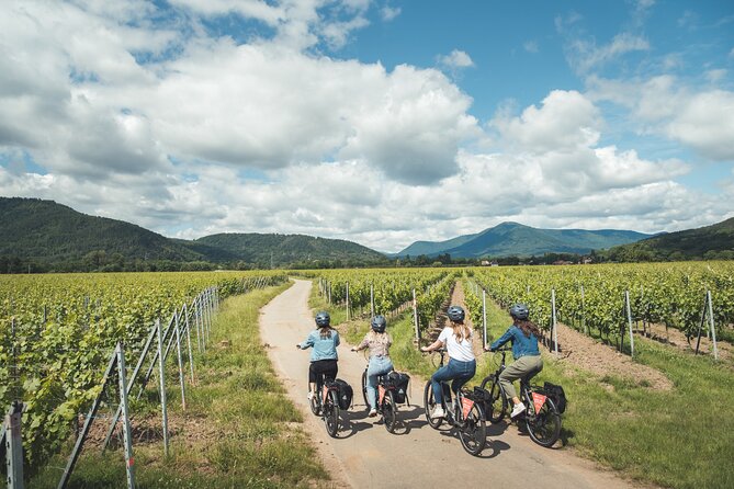 Bike ride on the Wine Route from Sélestat - Key points to know before booking