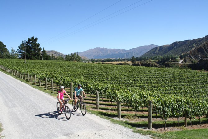 Bike The Wineries (3/4 Day) - Ride Through Queenstown Vineyards - Kinross brings cellar door, food, and a relaxed pause