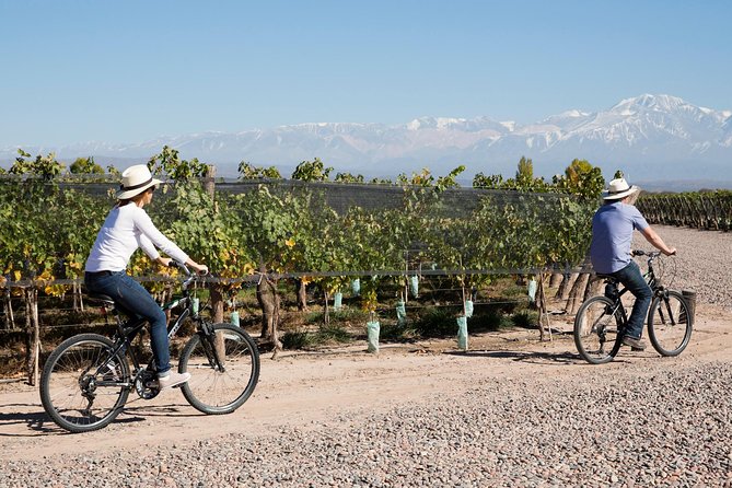 Bike Tour in Mendoza Wine Country - Why the bike ride works in Mendoza’s wine country