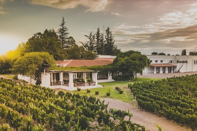 Bike Tour in Mendoza Wine Country - Bodega Vistalba: a second style of winery
