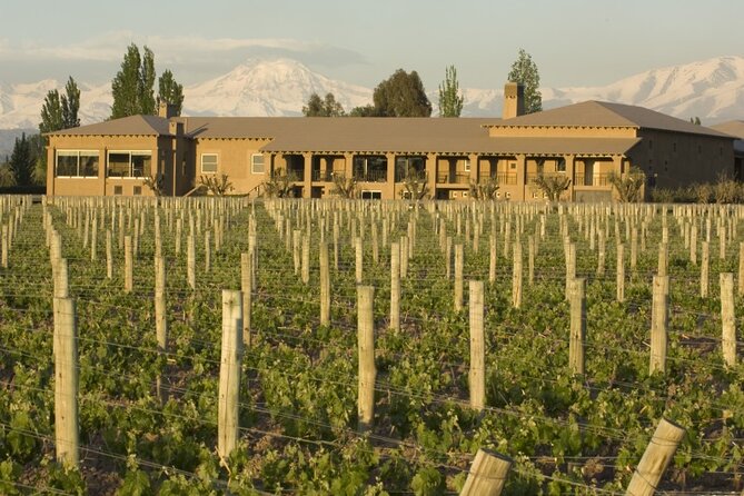 Bike Tour in Mendoza Wine Country - What the cycling is really like