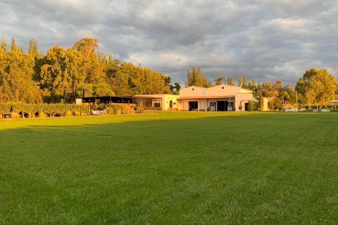 Bike Tour in Mendoza Wine Country - Wine tastings, language, and the guide’s role