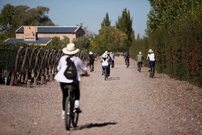 Bike Tour in Mendoza Wine Country - Carmine Granata: the first taste of Mendoza