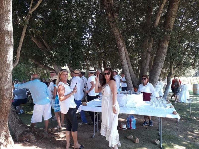 Binissalem: Individual vineyard tour and wine tasting in German - Five wines, from fresh whites to full reds