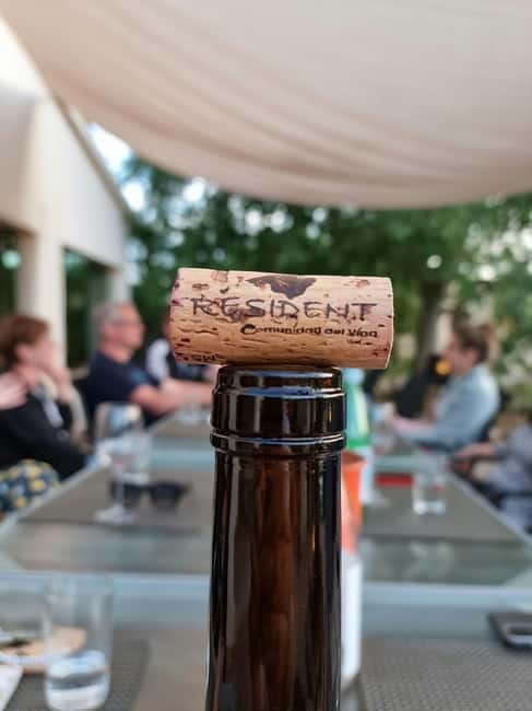Binissalem: Individual vineyard tour and wine tasting in German - Walking between the vines before the tasting