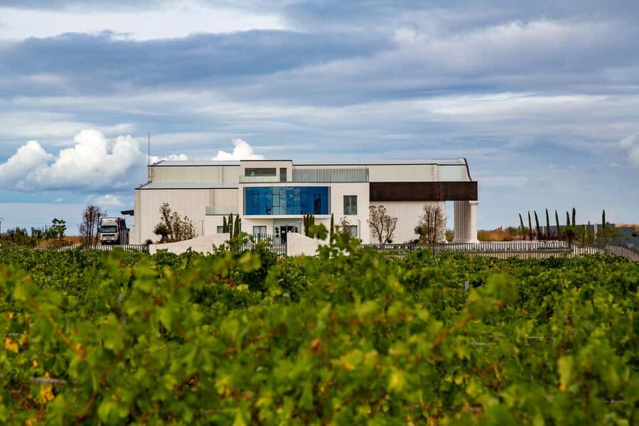 BODEGAS PANDORA: tour through vineyards and winery with wine tasting. - Key points to know before you book