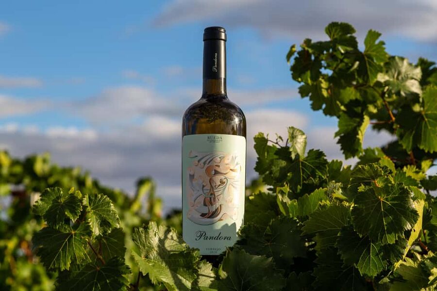BODEGAS PANDORA: tour through vineyards and winery with wine tasting. - Starting among the vines in Rueda