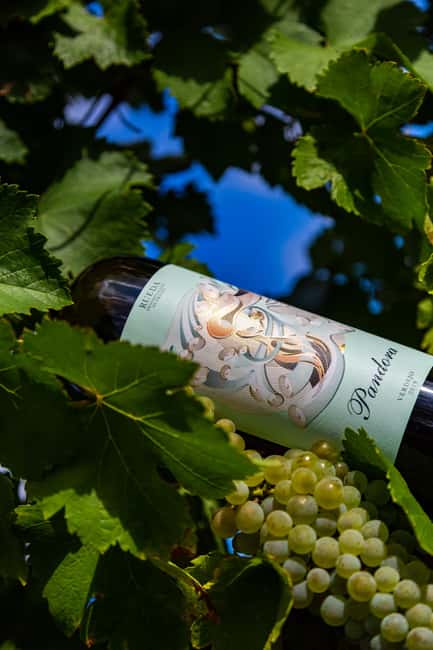 BODEGAS PANDORA: tour through vineyards and winery with wine tasting. - The tank tasting adds a useful twist