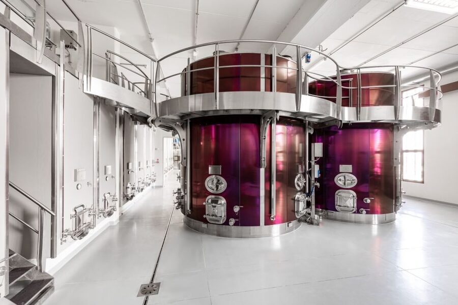 Bologna: Olive Grove and Vineyard Tour with Product Tastings - Key points to know before you book