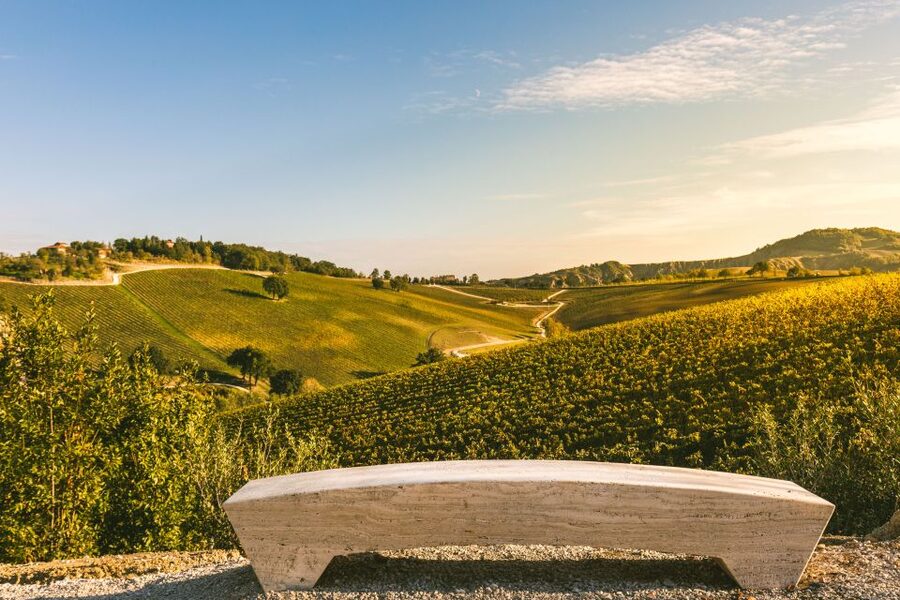 Bologna: Olive Grove and Vineyard Tour with Product Tastings - Arriving at Varignana near Bologna