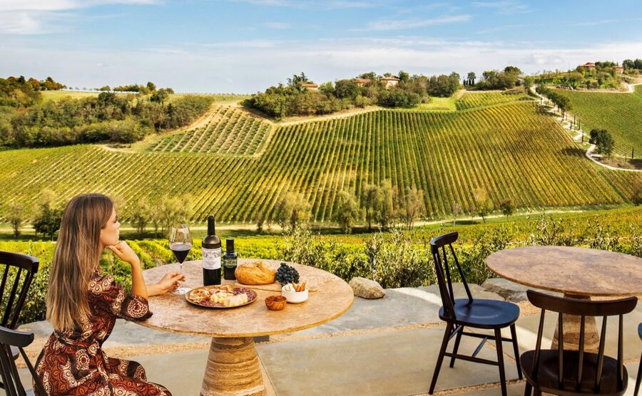 Bologna: Olive Grove and Vineyard Tour with Product Tastings - Learning to taste extra virgin olive oil