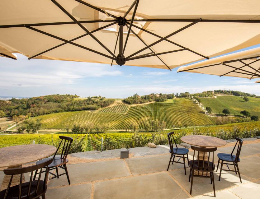 Bologna: Olive Grove and Vineyard Tour with Product Tastings - Who should book this experience?