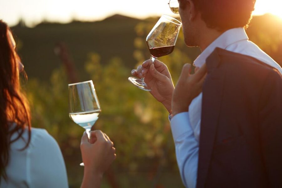 Bologna Vineyard Vista: a journey through Emilian wines - Key points to know before booking