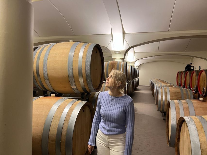 Bologna Vineyard Vista: a journey through Emilian wines - A vineyard stop in the hills outside Bologna