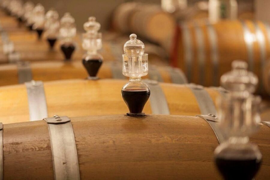 Bologna Vineyard Vista: a journey through Emilian wines - A closer look at the wines