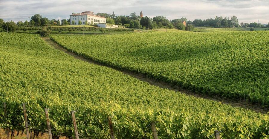 Bologna Vineyard Vista: a journey through Emilian wines - Getting there from Bologna without a car