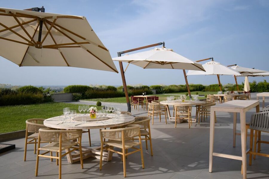 Bologna Vineyard Vista: a journey through Emilian wines - Should you book Bologna Vineyard Vista?