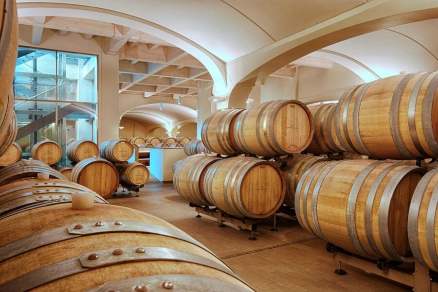 Bologna Vineyard Vista: a journey through Emilian wines - Choosing between Classic and Deluxe
