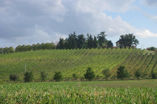 Bologna Wine Tasting & Winery Tour in the Colli Bolognesi - Meeting a local family winery